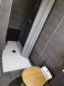 een badkamer met een houten toilet en een douche bij Maison de 2 chambres avec jardin clos et wifi a Prat Bonrepaux in Prat-et-Bonrepaux