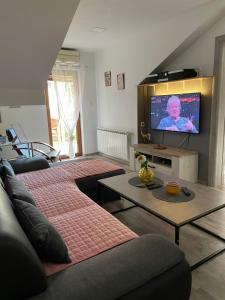 Il comprend un salon doté d'un canapé et d'une télévision à écran plat. dans l'établissement Apartman Dujmović 1, à Otočac