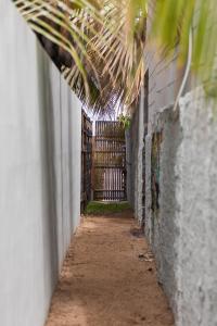 Fotografie z fotogalerie ubytování Coco Lagon accès plage v destinaci Saint-Paul