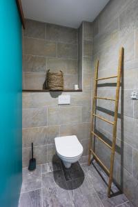 a bathroom with a toilet and a ladder in it at Coco Lagon accès plage in Saint-Paul