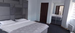 1 dormitorio con 1 cama grande y espejo en Hotel Relax en Leova