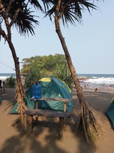 una tienda sentada en un banco bajo dos árboles en la playa en Madasari Outdoor Camping Standar en Bulakbenda