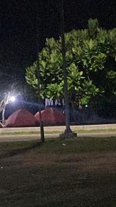 Un par de árboles en un parque por la noche en Madasari Outdoor Camping Standar en Bulakbenda
