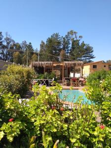 un patio trasero con piscina y una casa en Cabañas Ocean Forest, en El Tabo