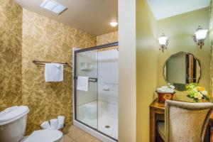 a bathroom with a shower and a toilet at First Gold Gaming Resort in Deadwood