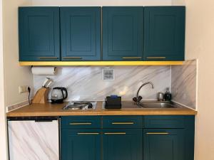 Kuchyň nebo kuchyňský kout v ubytování Exil Apartment