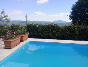 a swimming pool with two potted plants and a view at Il Podere di Massi in Barberino di Mugello
