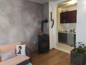 Una sala de estar con un sofá y una estufa de leña. en Modern 1-bedroom condo, en Podgorica