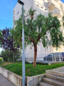 Budova, v ktorej sa apartmán nachádza