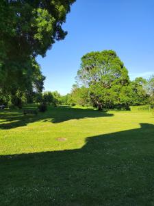un parque con un banco y árboles en el césped en GITE DE LA JANIERE, en Sainte-Luce-sur-Loire