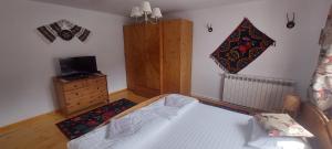 1 dormitorio con 1 cama, TV y vestidor en Feel Free House, en Stulpicani