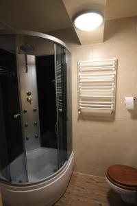 ビエルホムラ・マワにあるChata nad stawemのバスルーム(シャワー、トイレ付)、窓が備わります。