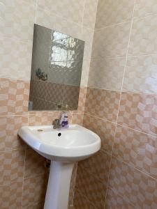 蒙巴薩的住宿－Graceful Listing，一间带水槽和镜子的浴室