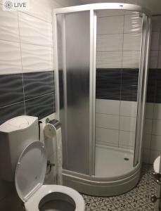 ein Bad mit einer Dusche, einem WC und einer Dusche in der Unterkunft Studio Verica in Vrnjačka Banja