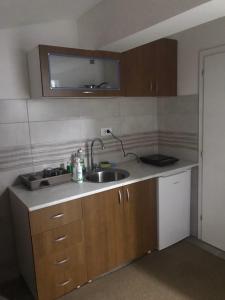 eine Küche mit Spüle und Arbeitsplatte in der Unterkunft Studio Verica in Vrnjačka Banja
