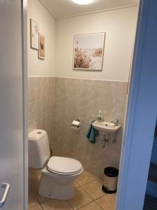 デ・コーフにあるBed & Beach Zeekraalのトイレと洗面台付きのバスルーム