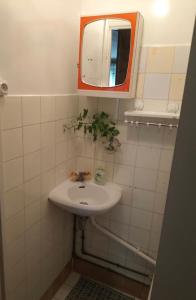 ein Bad mit einem Waschbecken und einem Spiegel in der Unterkunft Private double room near Metro 5 Bobigny in Bobigny