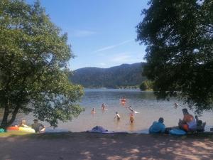 a group of people in the water at a lake at Studio cosy avec terrasse au cœur du village in Xonrupt-Longemer +4 photos