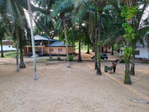 a child standing in front of a house with palm trees at La Villa Lou, Musée Des Arts Grand Batangua in Kribi