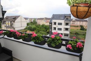 Rõdu või terrass majutusasutuses Apartman MIRJANA