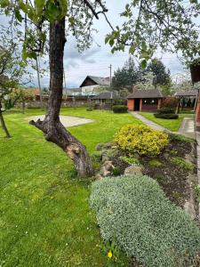 ein Baum in einem Garten mit grünem Gras und Blumen in der Unterkunft Затишок в Карпатах in Slawske