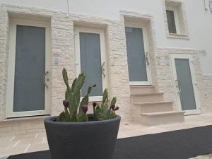 a plant in a pot in front of a building at MÃE Apulian Rooms in Grottaglie +45 photos