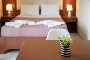 a hotel room with a bed and a table with a plant at Sofia Apartments in Kalamaki Chanion