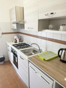 cocina con fregadero y fogones en Astri Apartment, en Roma