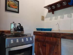uma cozinha com um fogão e um balcão com um lavatório em Recanto das Bromélias Chalés em Guarda do Embaú