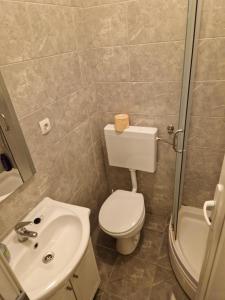 La petite salle de bains est pourvue de toilettes et d'un lavabo. dans l'établissement Sobe - Nova Gradiška smještaj Auto Klarić, à Nova Gradiška