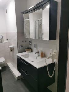 ヴィンターベルクにあるFerienwohnung Sauerlandのバスルーム(洗面台、鏡、トイレ付)