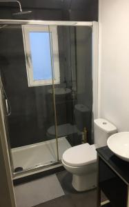 a bathroom with a shower and a toilet and a sink at Apartamento Manuela Sancho in Zaragoza +14 photos
