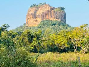 Kihansa Villa في كالوتارا: صخرة كبيرة في وسط الغابة