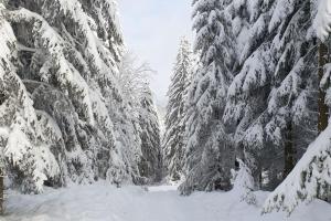 Ferienwohnung Merle in Winterberg-Altastenberg v zimě