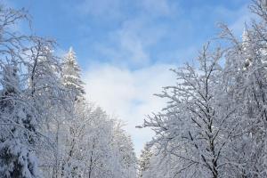 Ferienwohnung Merle in Winterberg-Altastenberg v zimě