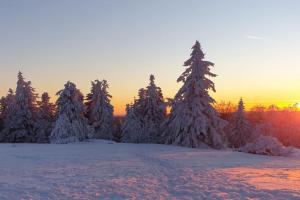 Ferienwohnung Merle in Winterberg-Altastenberg v zimě