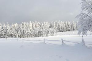 Ferienwohnung Merle in Winterberg-Altastenberg v zimě