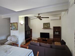 a living room with a couch and a tv at Apartamento Mondego in Penacova