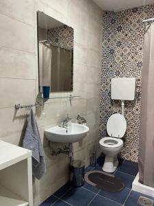 un bagno con un water e un lavandino di Rustic Villa a Jagodina