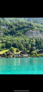 un grande bacino d'acqua con case e una montagna di Boutique Hotel Bellevue B&B am Brienzersee Iseltwald Interlaken a Iseltwald