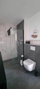 a bathroom with a shower and a toilet in it at Stilvoll und modern in Weyhausen