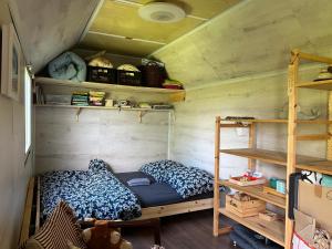 ein Zimmer mit einem Bett und Regalen in einem winzigen Haus in der Unterkunft MECHový domeček pod Bobíkem in Volary
