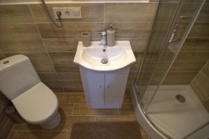 uma casa de banho com um lavatório, um WC e um chuveiro em Ezera Pērle em Myza Keipen