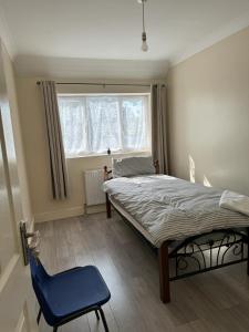 エドモントンにあるA cosy 8 Bedroom Houseのベッドルーム1室(ベッド1台、青い椅子付)