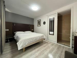 1 dormitorio con 1 cama grande y ducha a ras de suelo en DHARMA HOUSE, en Vama Veche 5 fotos más