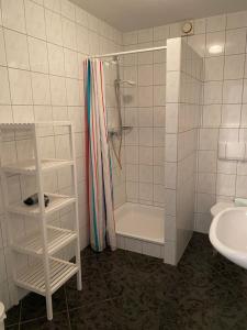 La salle de bains est pourvue d'une douche et d'un lavabo. dans l'établissement Ferienhof Kröger, à Bielefeld