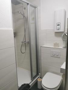 溫特貝格的住宿－Ferienwohnung Sauerland，带淋浴和卫生间的浴室