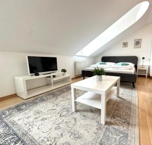 TV a/nebo společenská místnost v ubytování Vienna Excellent Apartments