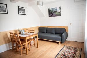 a living room with a couch and a table at Pensjonat Kaja in Rymanów-Zdrój