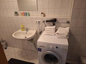 a bathroom with a washing machine and a sink at FeWo BlackForest in Neuenburg am Rhein